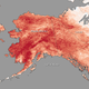 Illustration for article titled Its so freaking warm in Alaska that roads turned into rivers